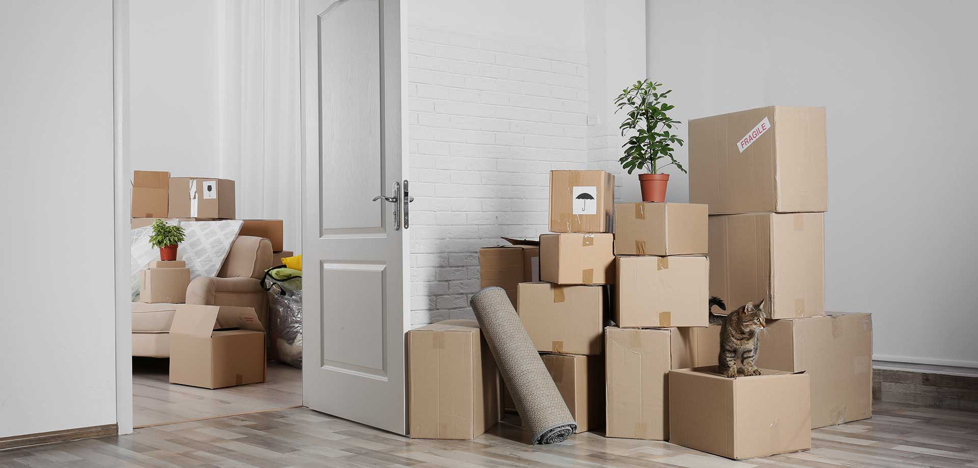 The Move Phoenix Glendale Arizona